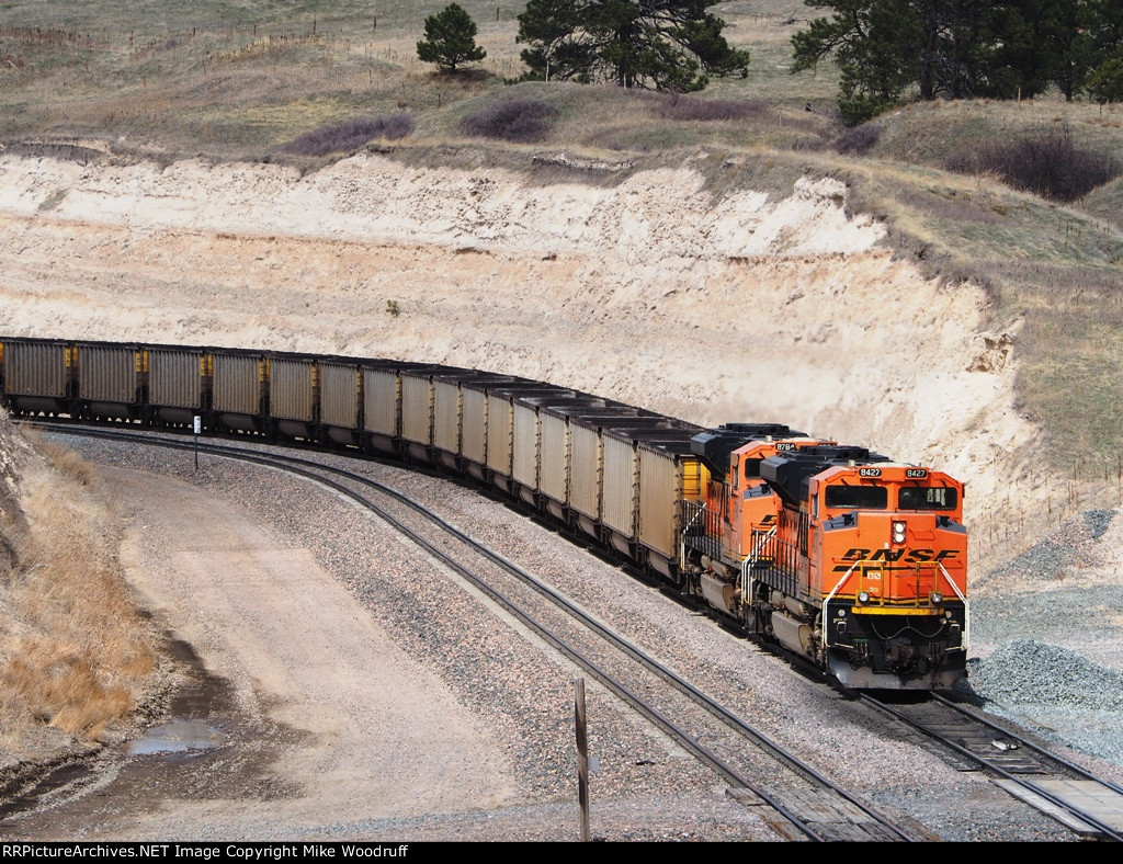 BNSF 8427